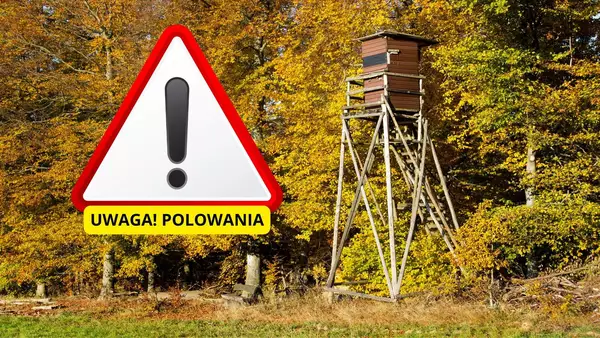 polowania