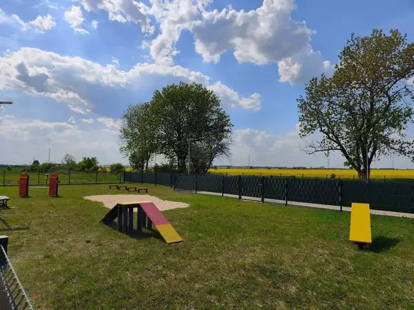 Wybieg dla psów w Skórzewie