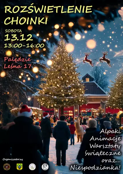 choinka palędzie