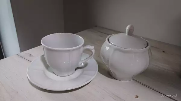 Wielkopolska Odnowa Wsi projekt