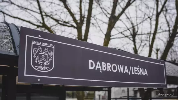 Przystanek Dąbrowa/Leśna