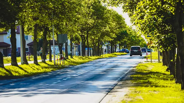 ul. Kozierowskiego w Skórzewie