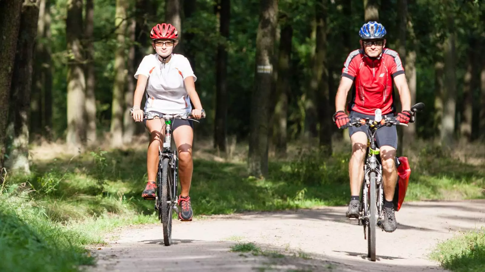 Trasy biegowo - rowerowe w lasach Dąbrówki, Palędzia i Zakrzewa
