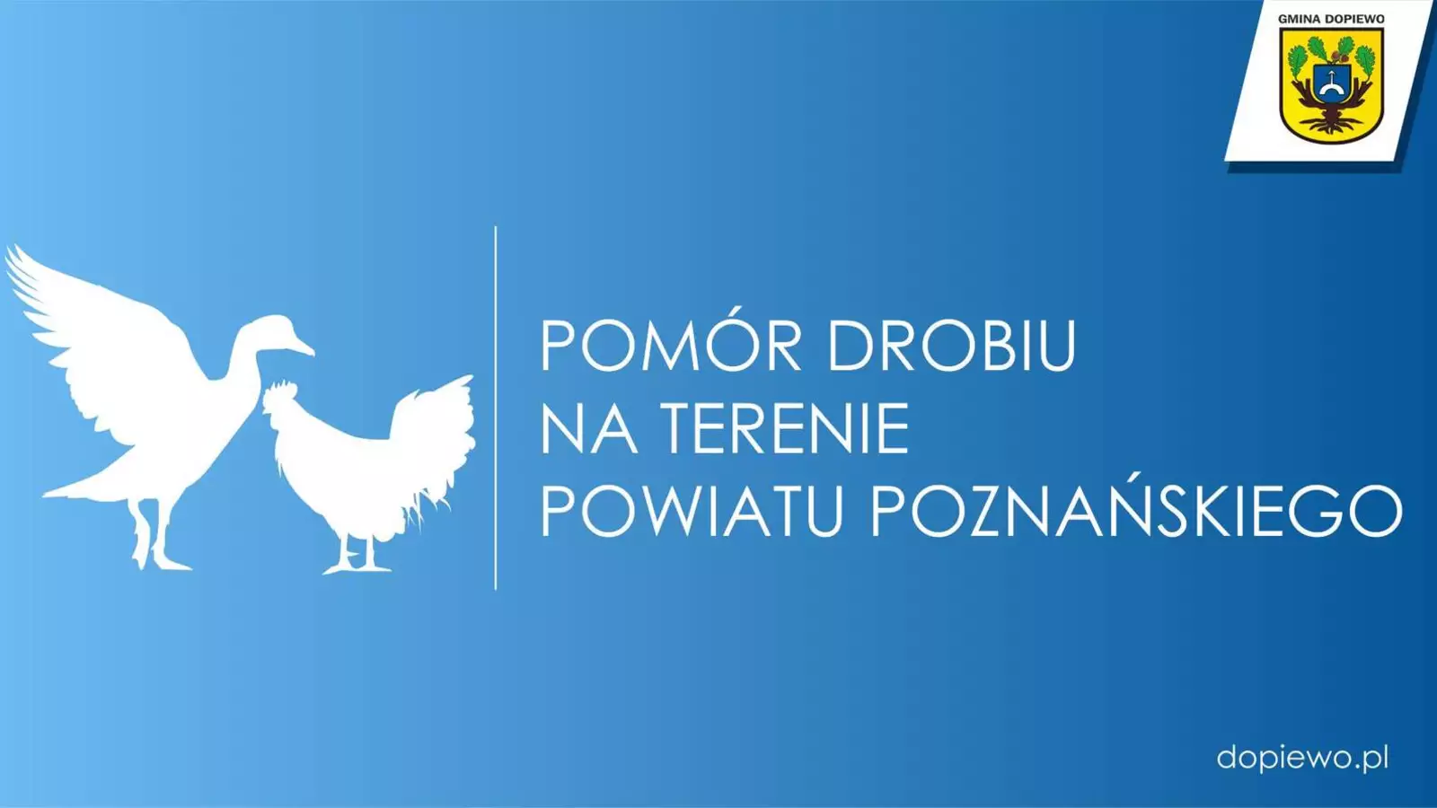 Pomór drobiu