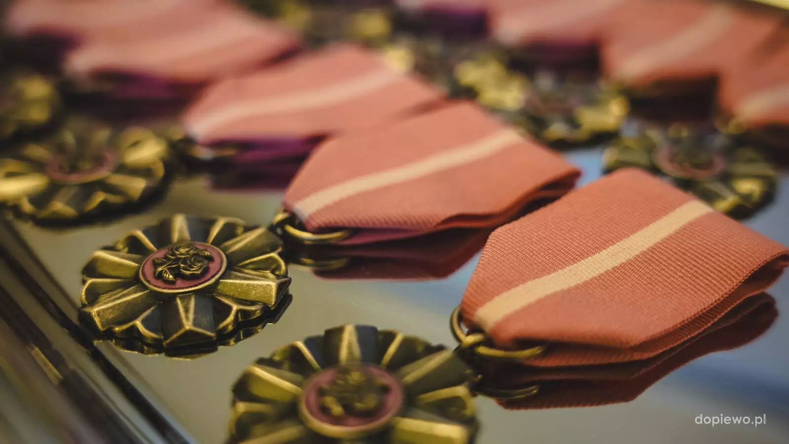 uroczystość w USC - 50 lecie ślubu