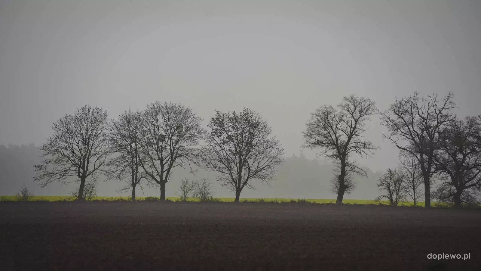 Nadleśnictwo Kontantynowo