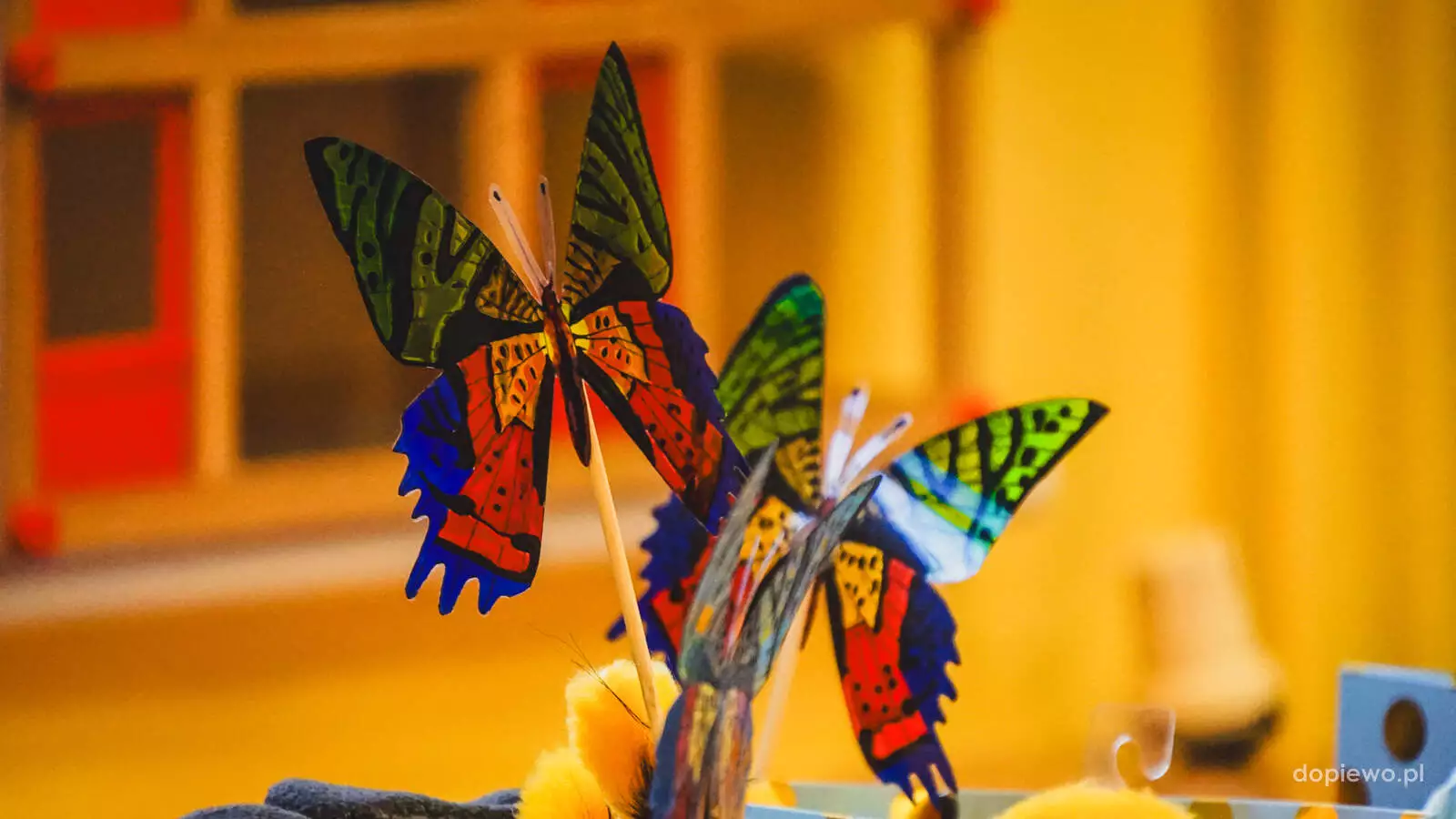 Motyle dla Hospicjum