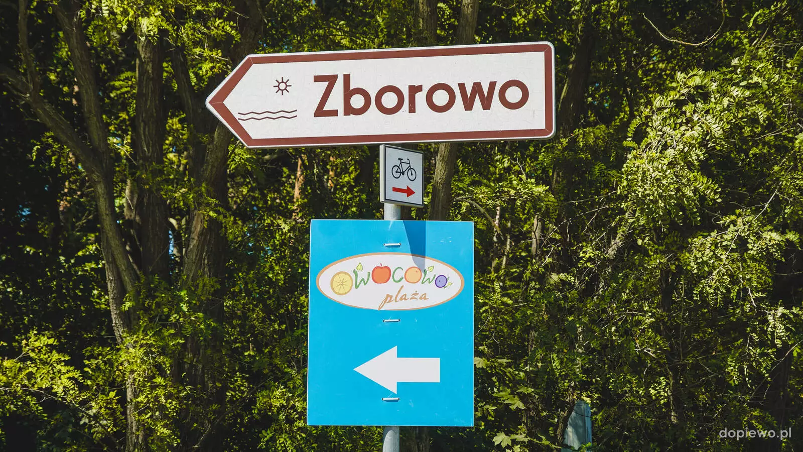 Owocowa Plaża w Zborowie