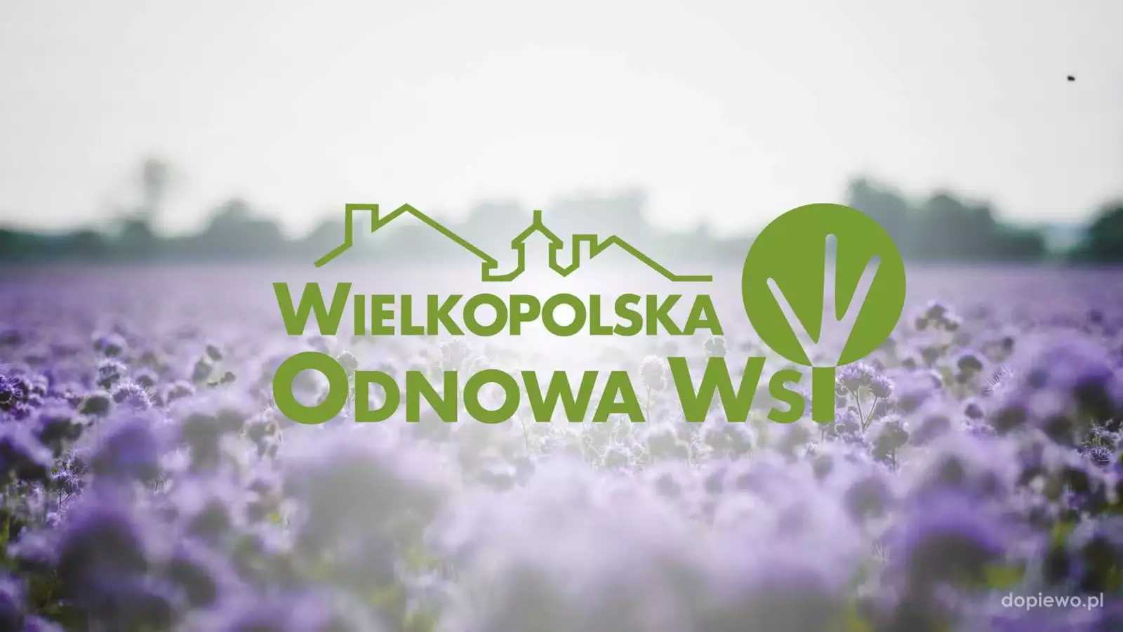 odnowa wsi