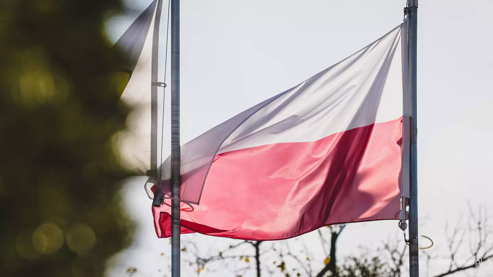 Flaga Polski 