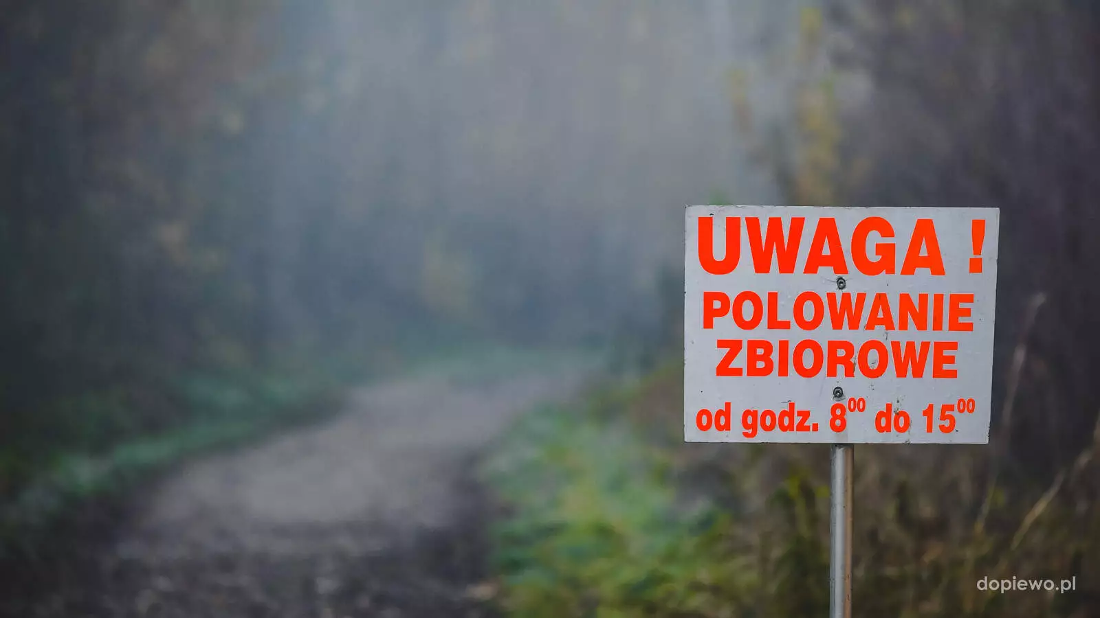 Polowanie zbiorowe