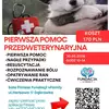 kurs pierwszej pomocy przedweterynaryjna