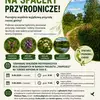 Tropiciele