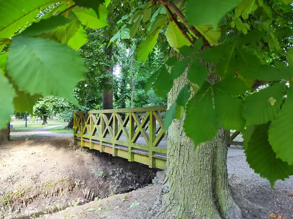 Zabytkowy Park w Skórzewie, ul. Poznańska