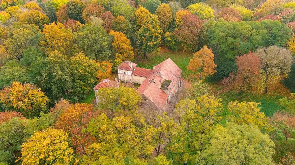 Park dworski, podworski, Pałac, Więckowice