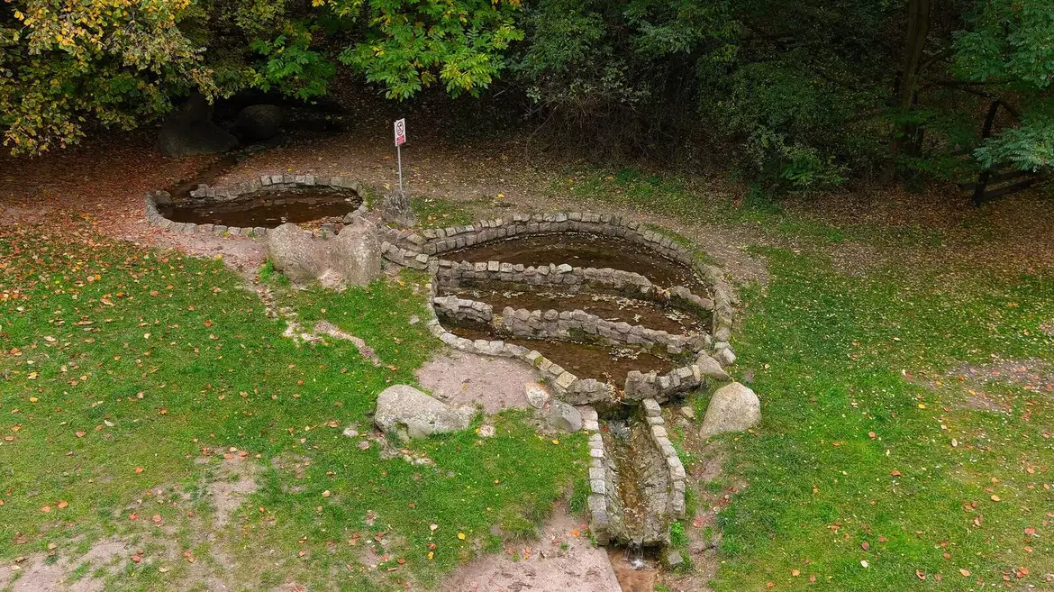 Pomnik Przyrody w Żarnowcu