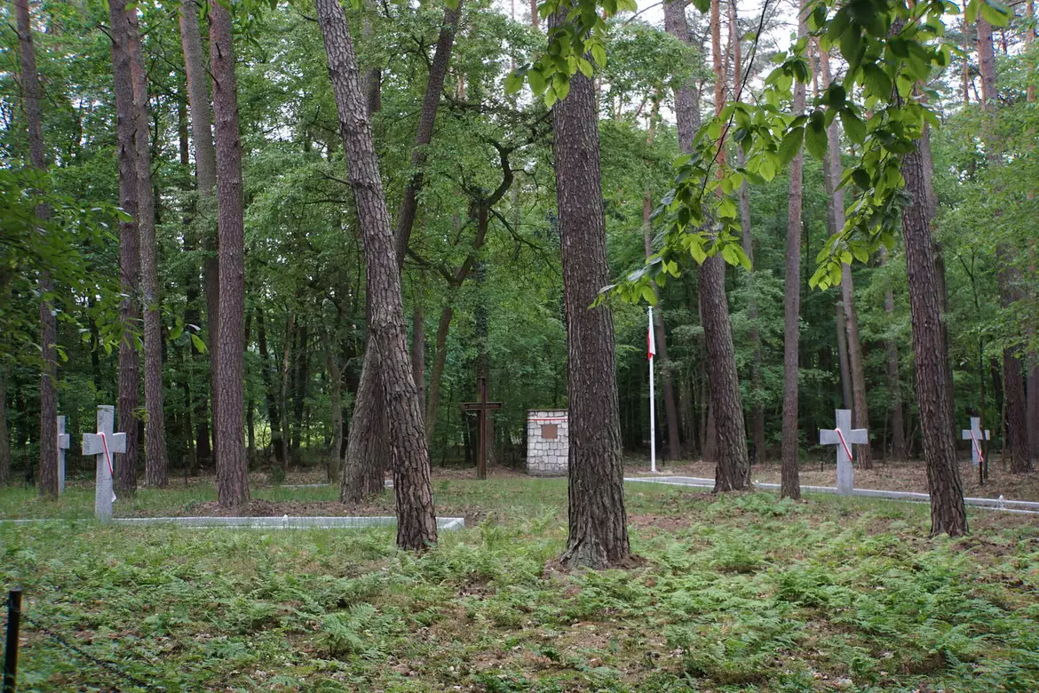 Groby w Lasach Palędzko - Zakrzewskich