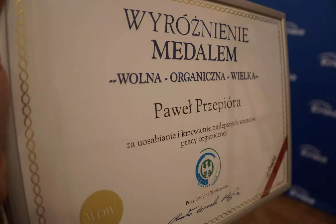 Wawrzyny Pracy Organicznej