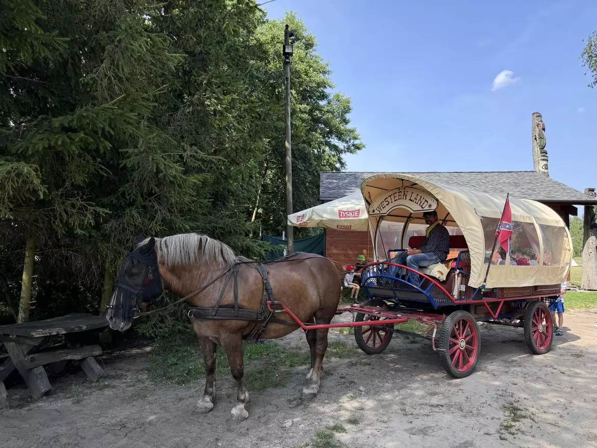 Zdjęcie przedstawia dyliżans z zaprzężonym koniem w Parku Westernland