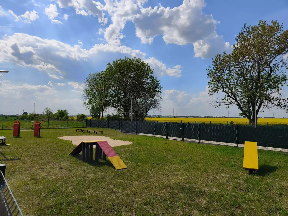 Wybieg dla psów w Skórzewie