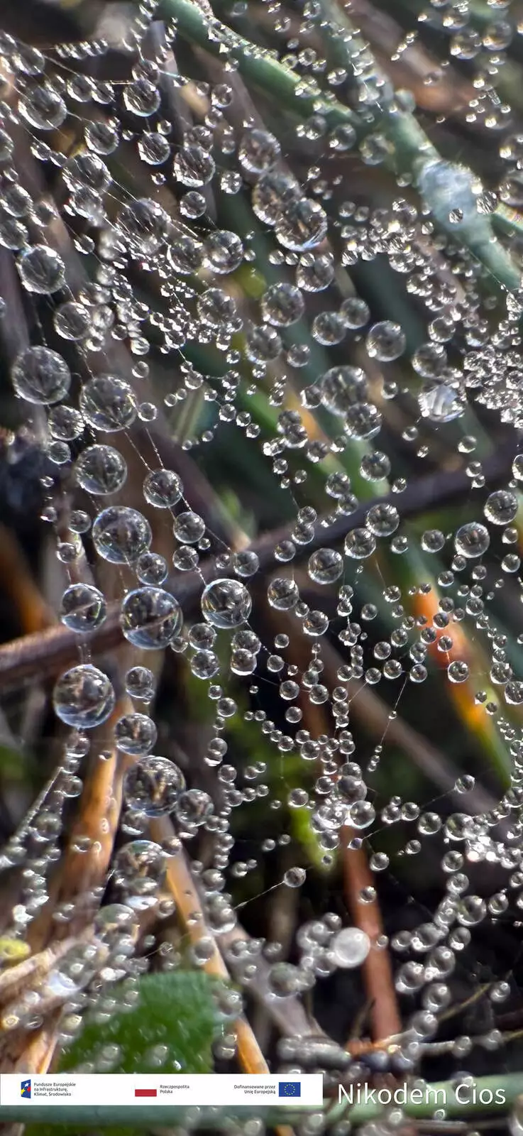 Konkurs kroplą wody 9