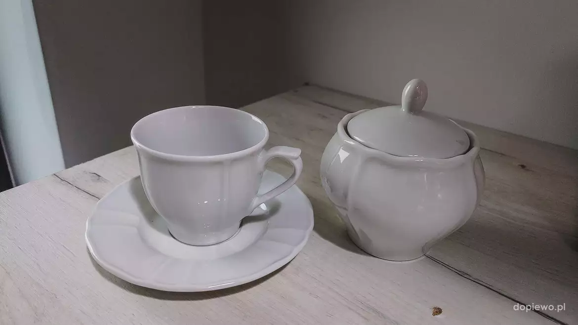 Wielkopolska Odnowa Wsi projekt