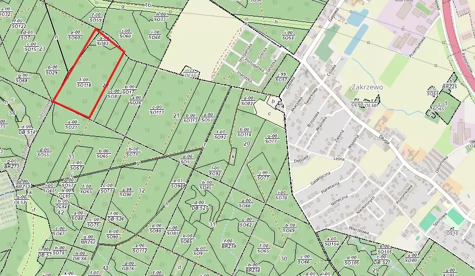 Nadleśnictwo Kontantynowo sektor 22f