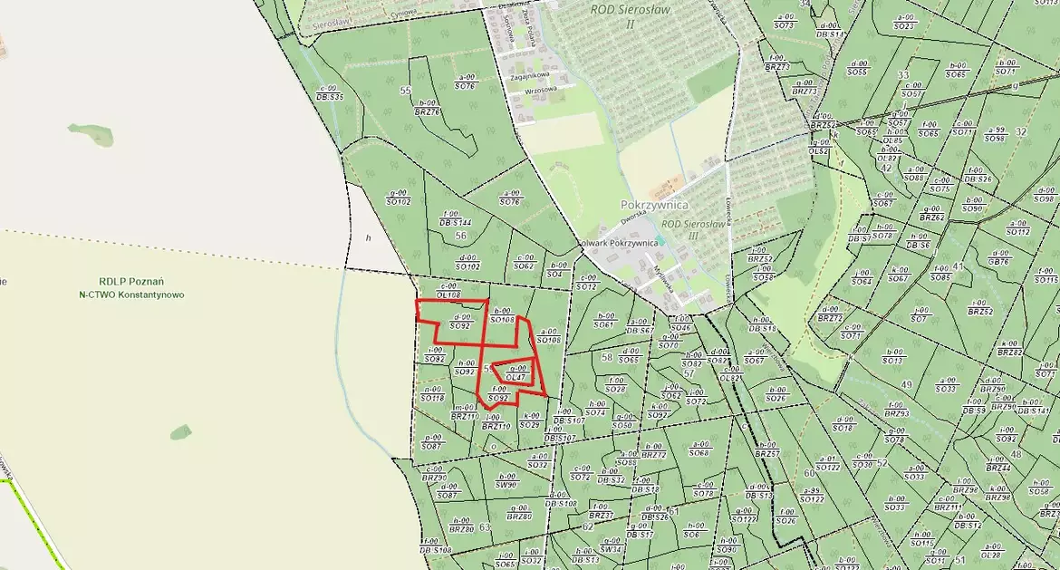 Nadleśnictwo Kontantynowo sektor 59 df