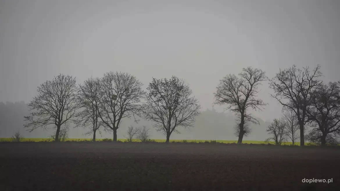 Nadleśnictwo Kontantynowo