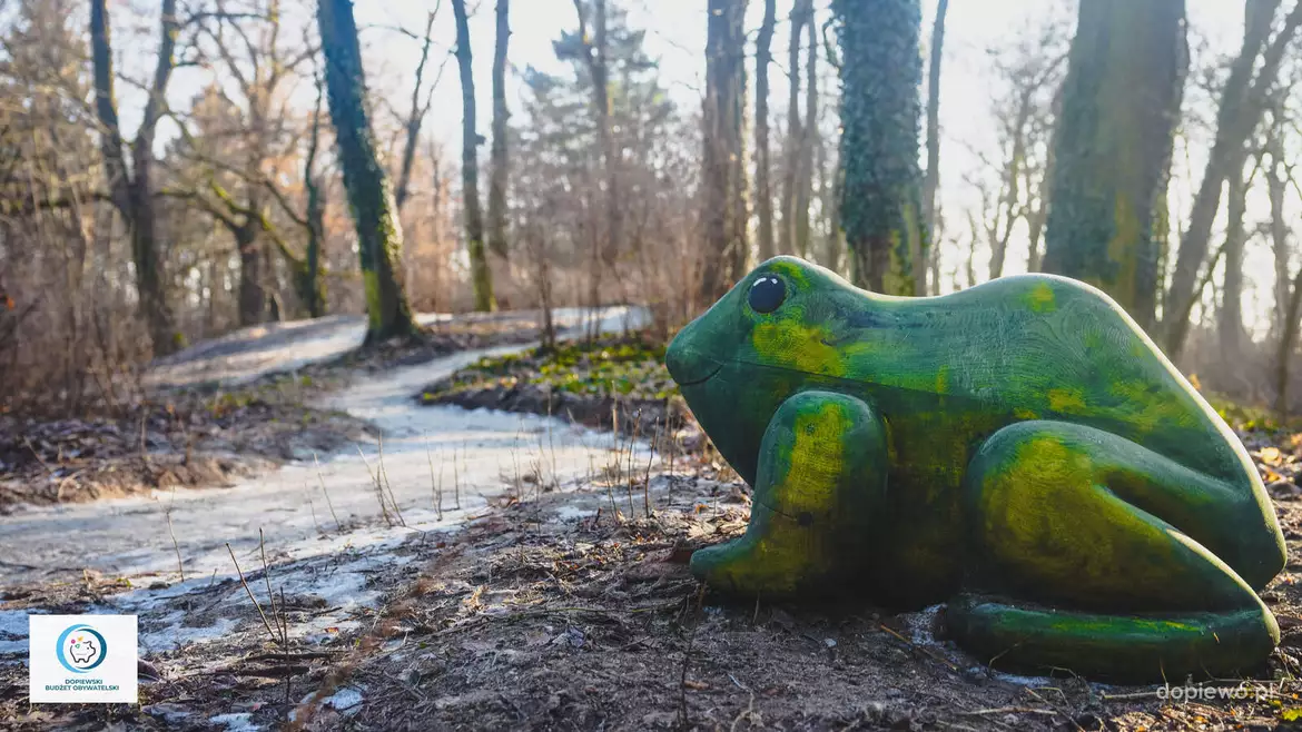 Ogród zmysłów w Dąbrówce