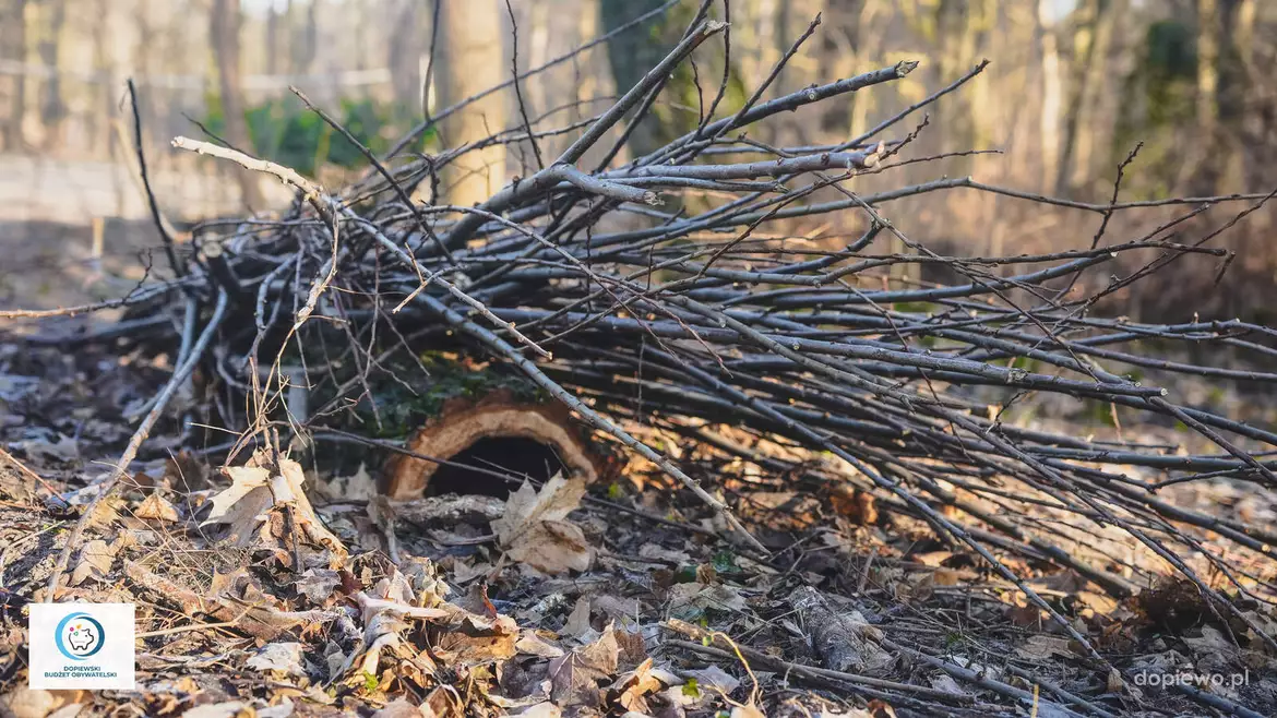 Ogród zmysłów w Dąbrówce