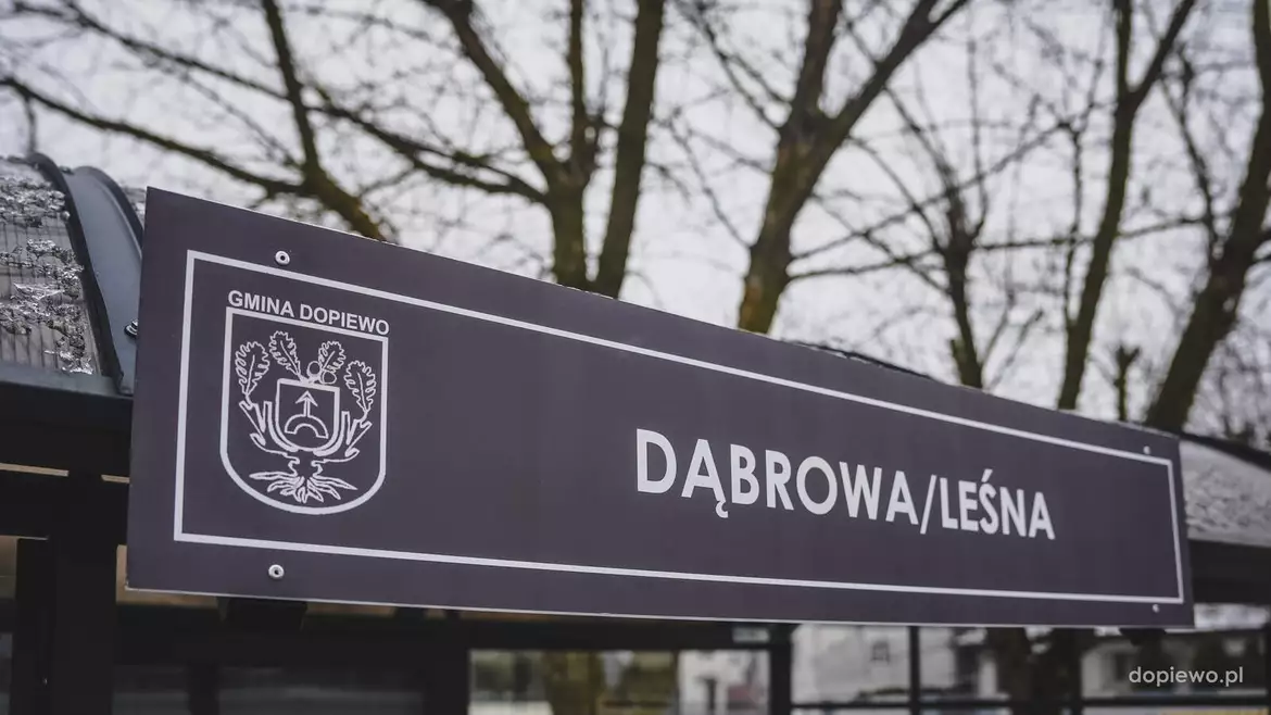 Przystanek Dąbrowa/Leśna