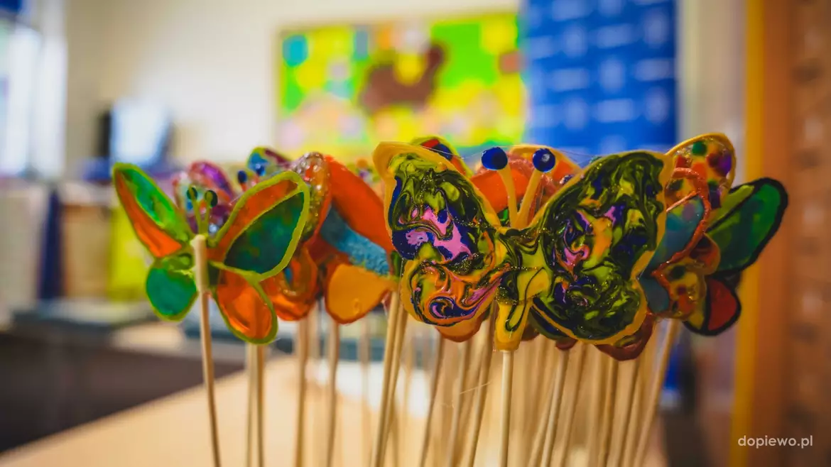 Motyle niosące radość w Zakrzewie