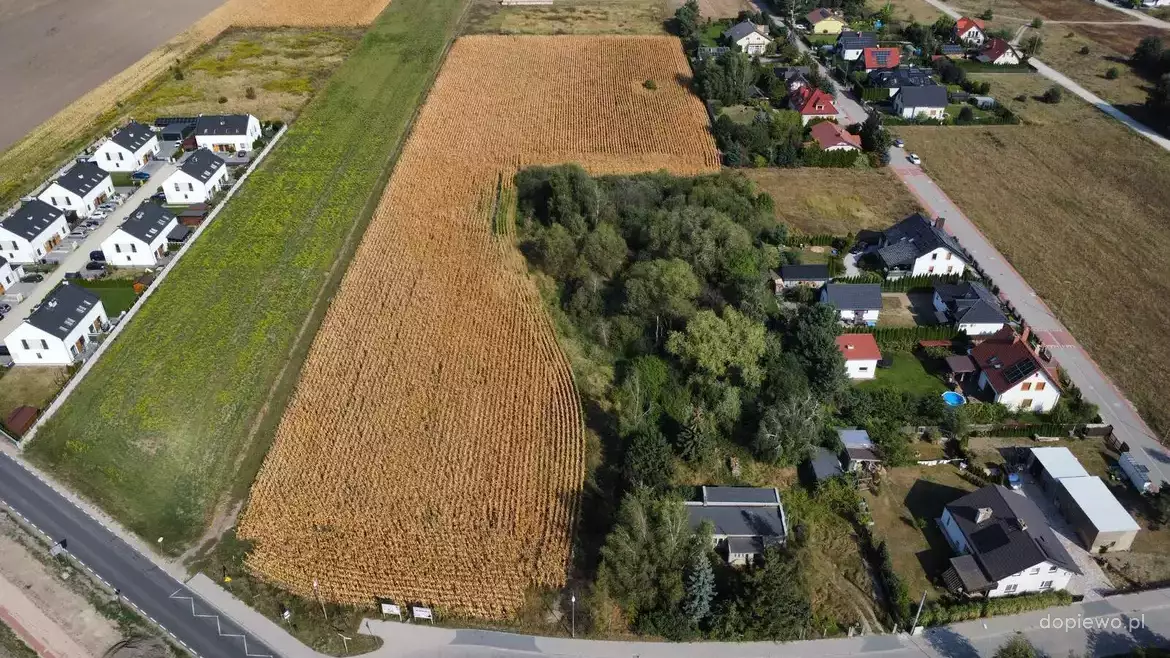 Działka w Palędziu