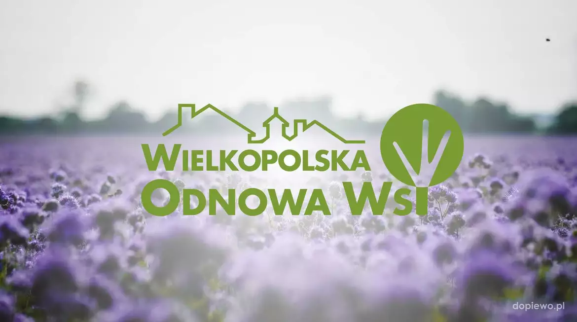 odnowa wsi