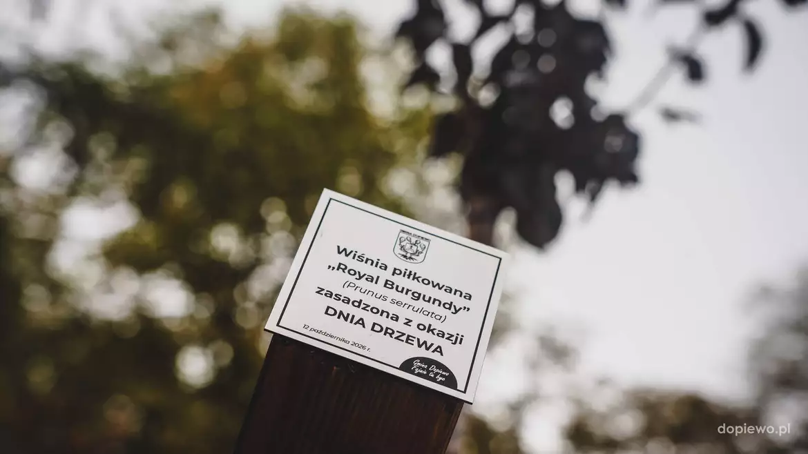 Dzień Drzewa 2026